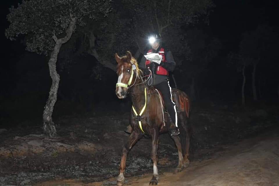 El jinete de la Federación Navarra José Romera Campeón LE CENTAURE 2019